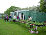 The 2012 plant sale is nearly ready to begin.