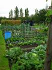 Allotment