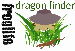 Froglife Dragon Finder