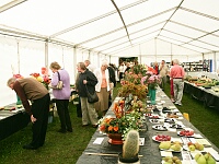 A view of the amazing display in the Horticultural marquee.