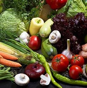 Federation of Middlesex Show